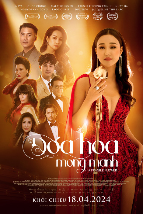 51006869101061884 470x700 Doa Hoa Mong Manh