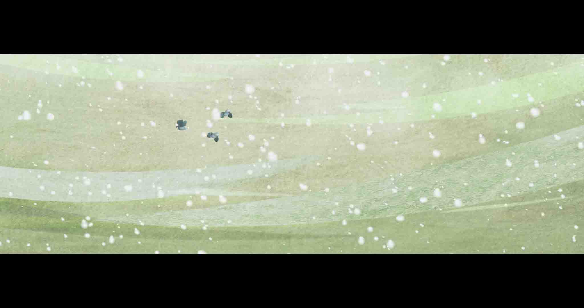 Anh Tu Lieu Giac Mo Cua Con (1)