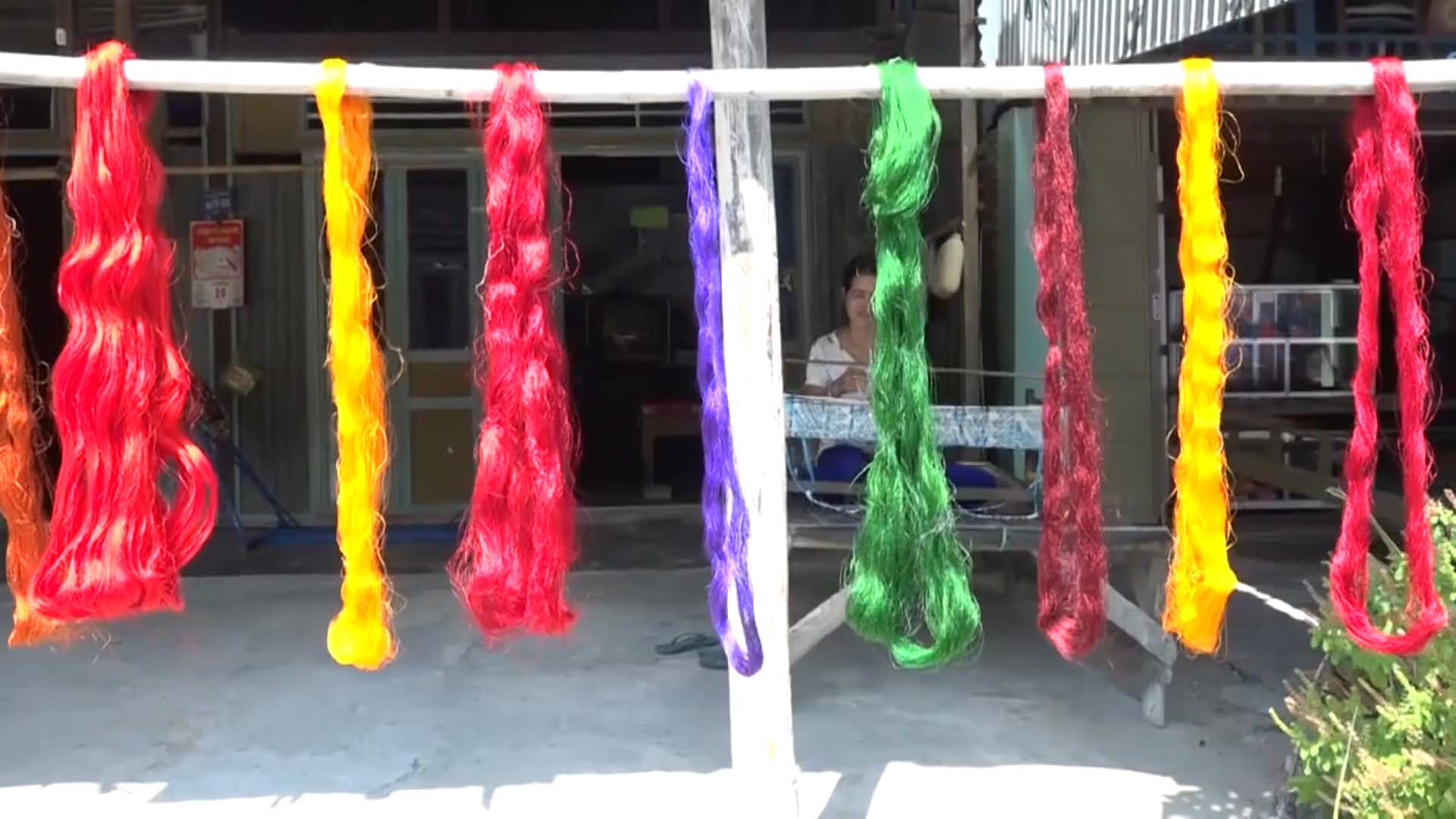 Nang Nhuom Lua Vang 04 Copy