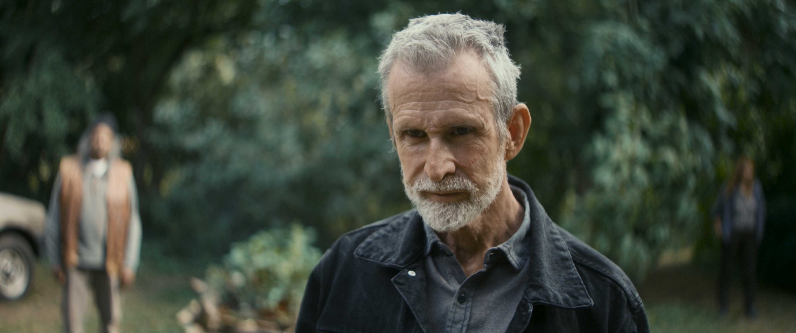 Small 04 Milkteeth Pesoltclose Ulrichmatthes Caleksandramedianikova 300dpi Scaled