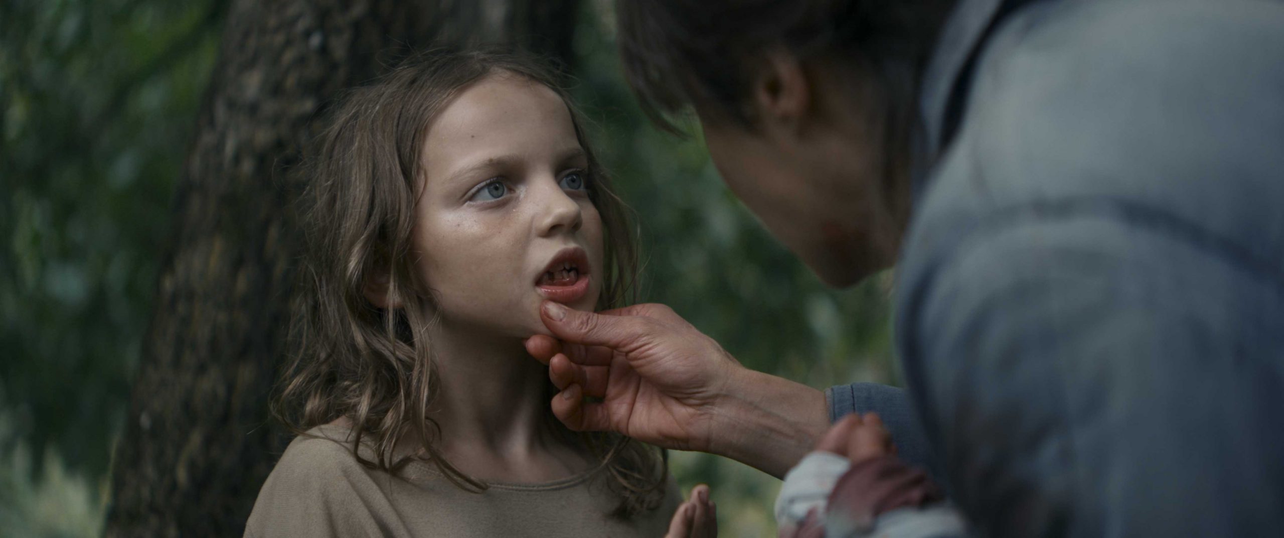 Small Milkteeth Youngskaldeedith Rosawirtzsusannewolff Caleskandramedianikova 300dpi Scaled