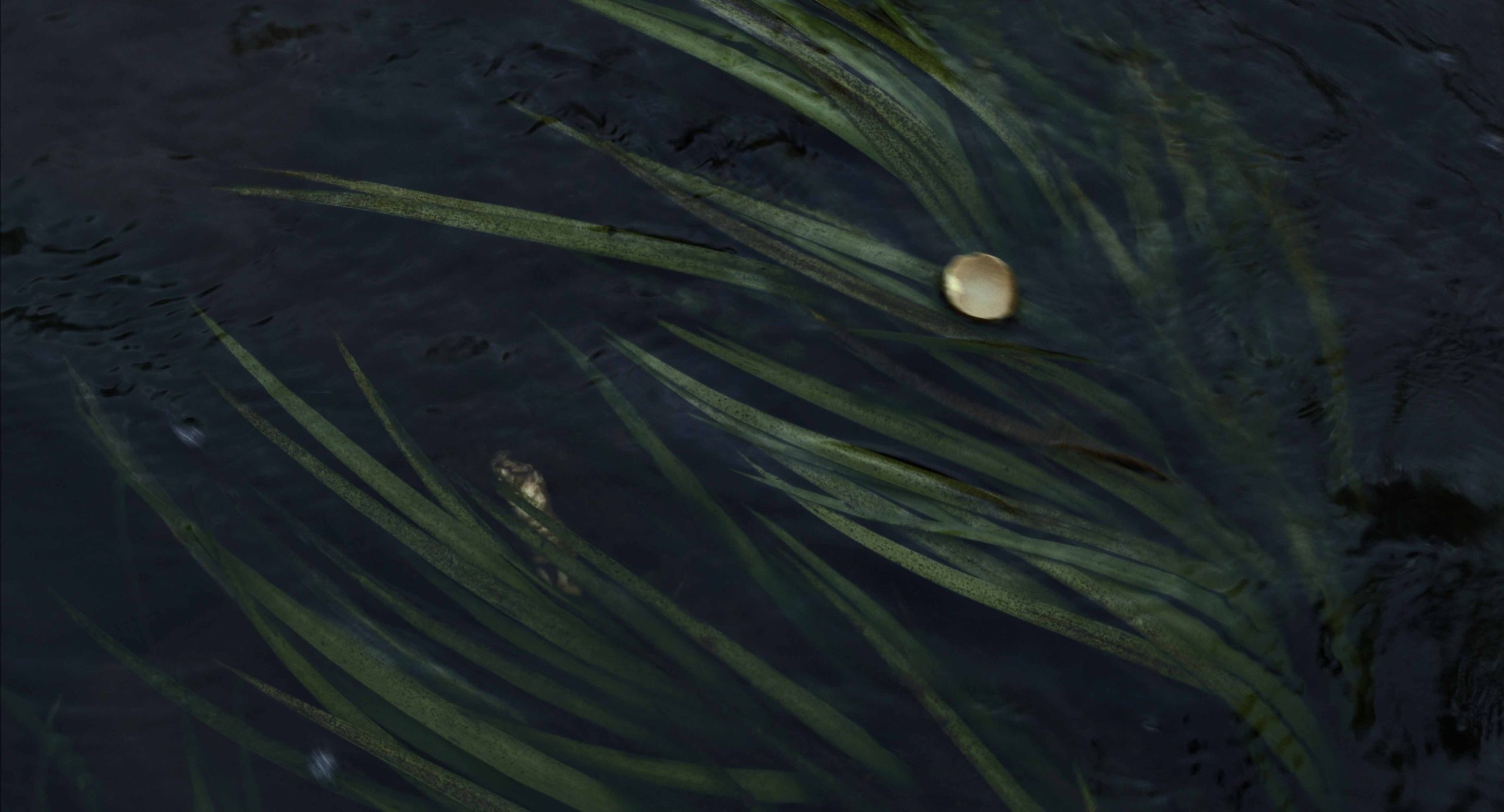 Screen Shot 2023 07 02 At 5