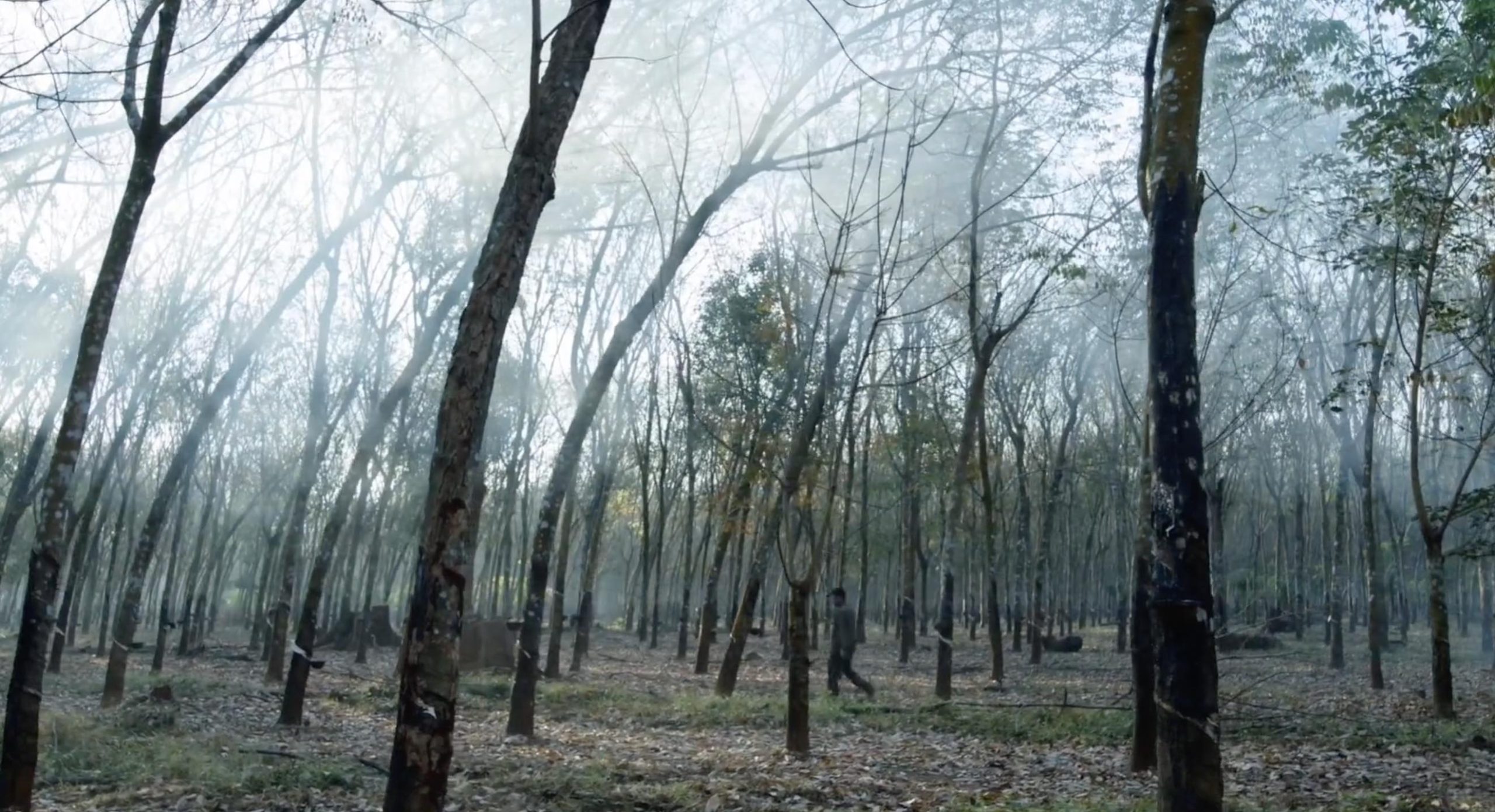 Therubbertappers Still03 Copy