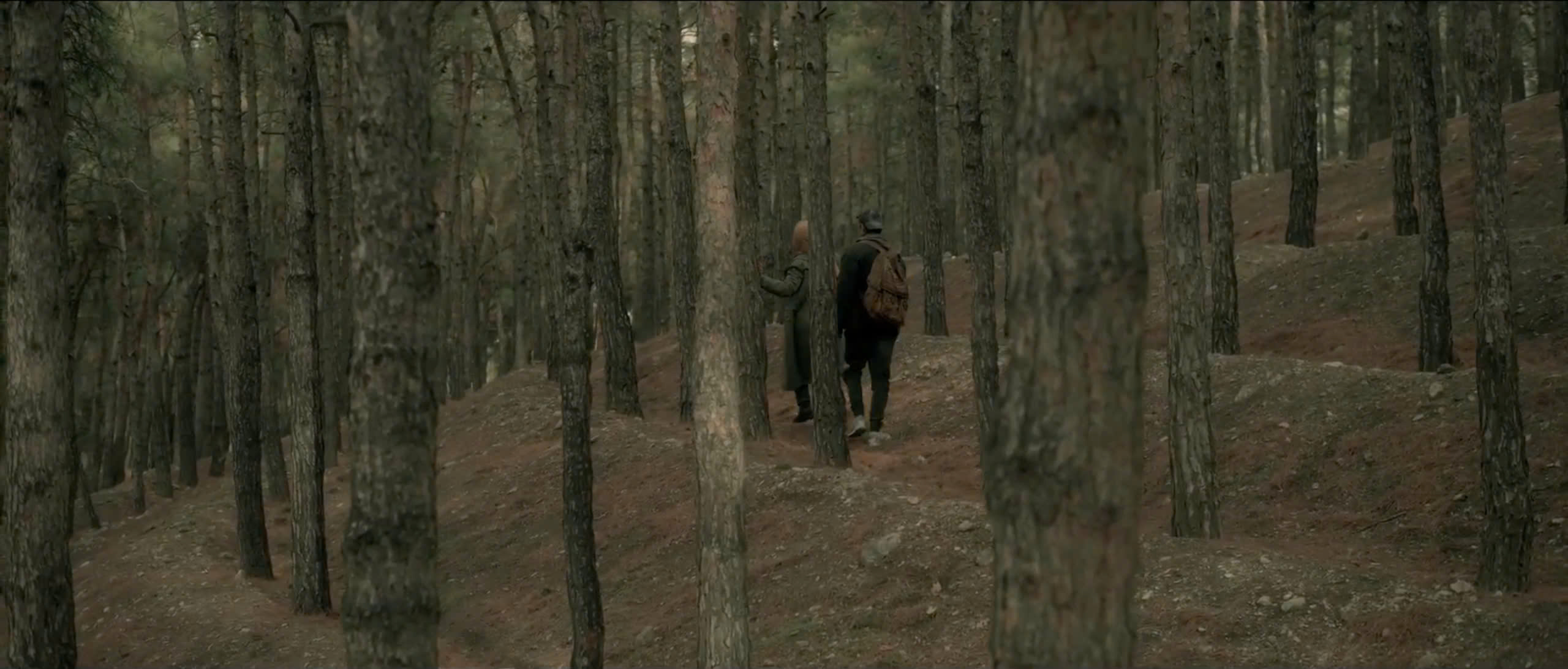 Z5939731913688 A8bfbf9dc08f147f274bfd55de997531