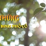 Ban Dung 09 10.00 01 08 03.still011
