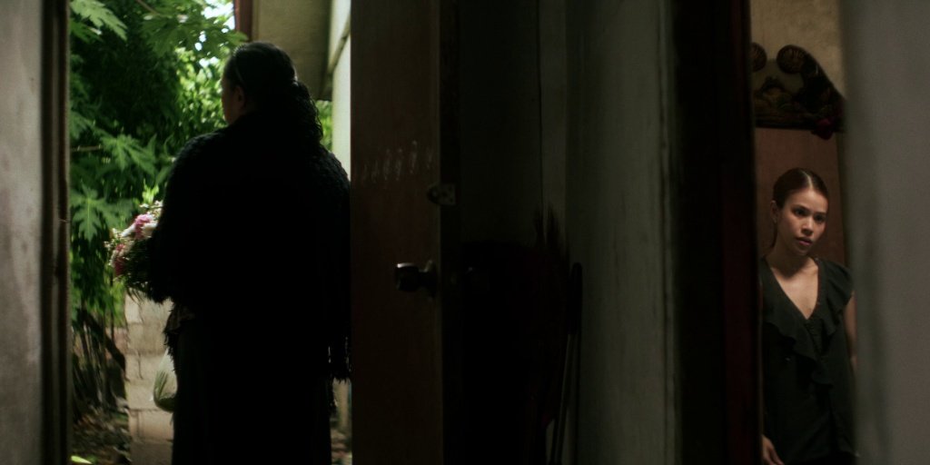 Malunggay Still 03