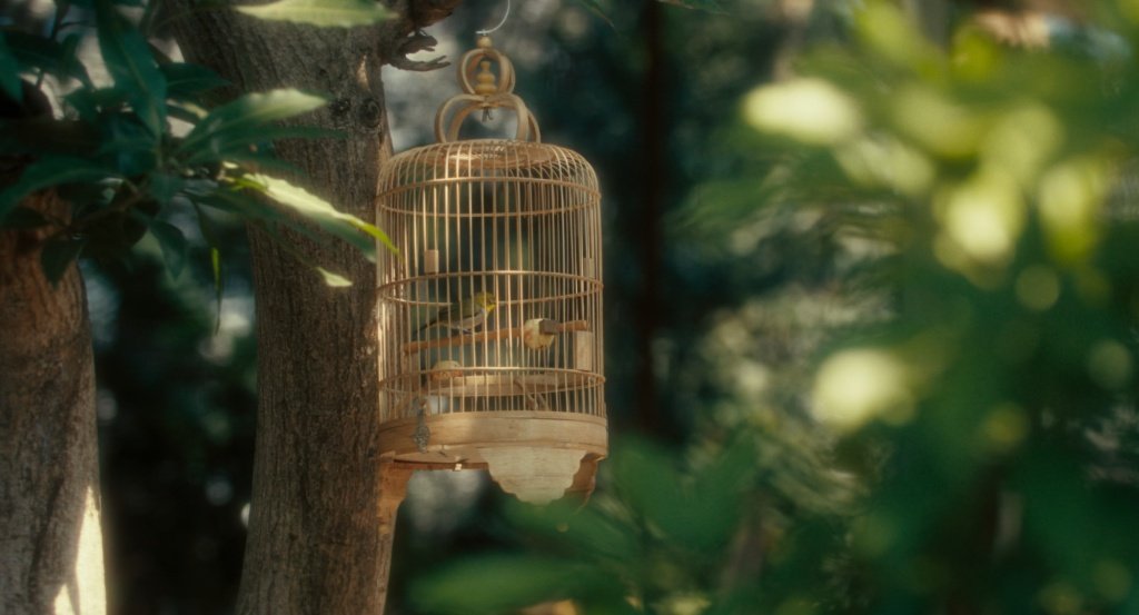 Still 10