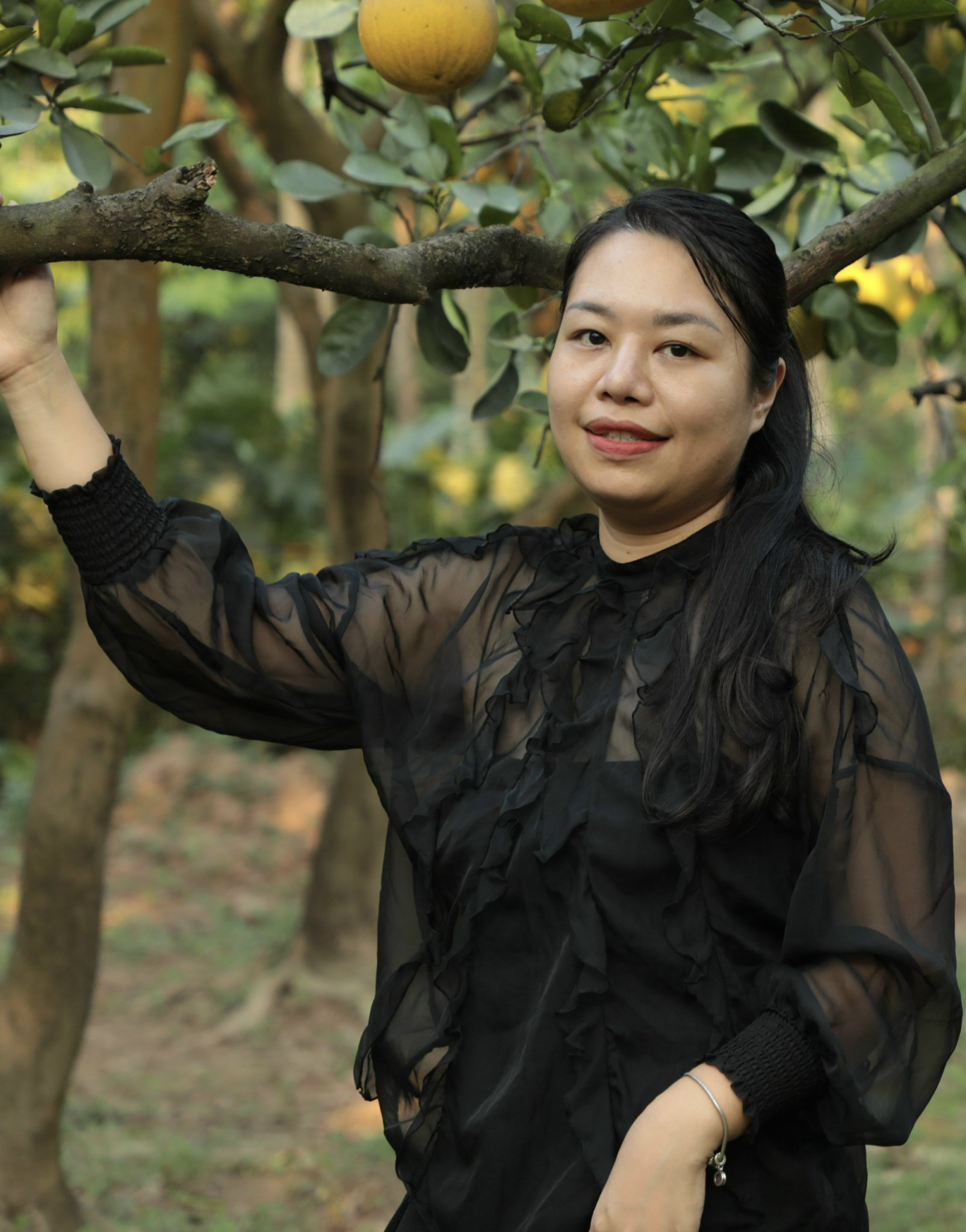 Dao Dien Hoang Ha Le 1