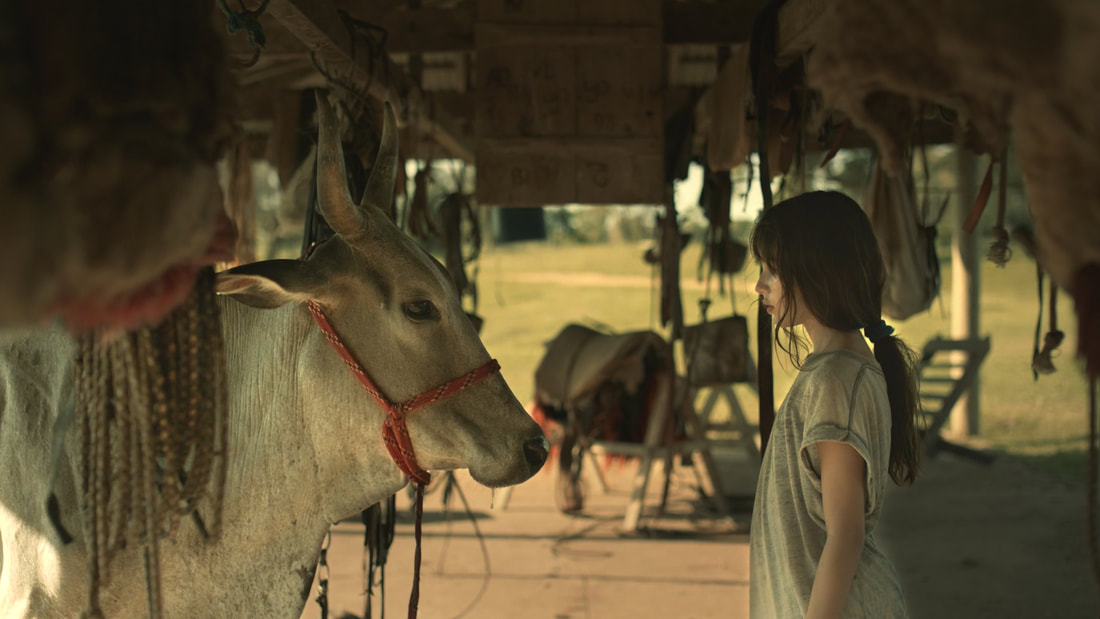 Mymotherisacow3 Orig